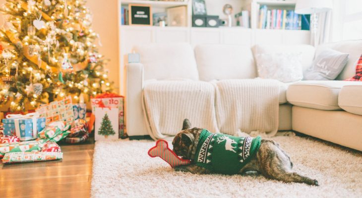 Créez votre petit nid douillé pour l’hiver