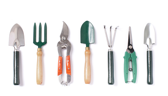 Les outils indispensables pour un jardinier amateur